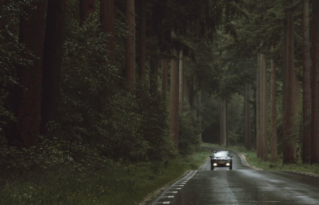 Codan Forsikring | Se vores privatforsikringer her